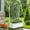 White, variant on MAYEERTY 71" x 35" Metal Raised Garden Bed with Trellis Planter Box for Climbing Plants, Black