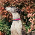 thumbnail image 4 of Didog Soft Leather Padded Personalized Dog Collar Custom Pet Name Number Adjustable for Small Large Dogs, 4 of 12