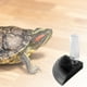 thumbnail image 4 of Botella de agua para reptiles, terrario automático, cuenco de esquina, cuenco de agua para tortugas, cuenco de comida para reptiles Negro, 4 of 8