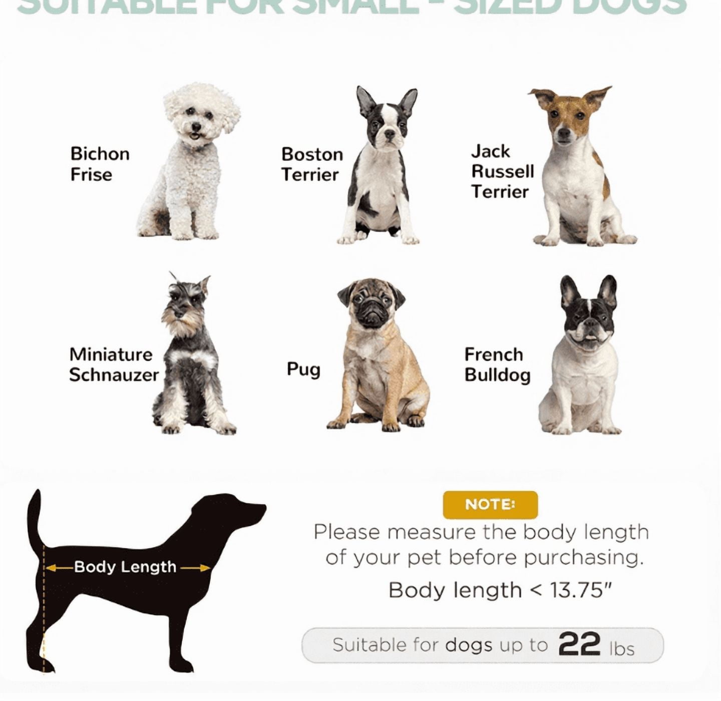 Pet bed Elevated Dog Bed Outdoor Dog Cot