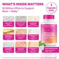 thumbnail image 2 of Pink Stork Prenatal Probiotics for Women with Vitamin B6 and Prebiotics- Mint Scented- 30 Capsules, 2 of 10