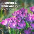thumbnail image 6 of Tide Ultra Febreze Liquid Laundry Detergent, Spring & Renewal Scent, 132 fl oz, 94 Loads, 6 of 11