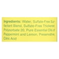 thumbnail image 2 of Rebel Green Soap Dish Peppermint Lemon 16 oz (Pack Of 8), 2 of 2