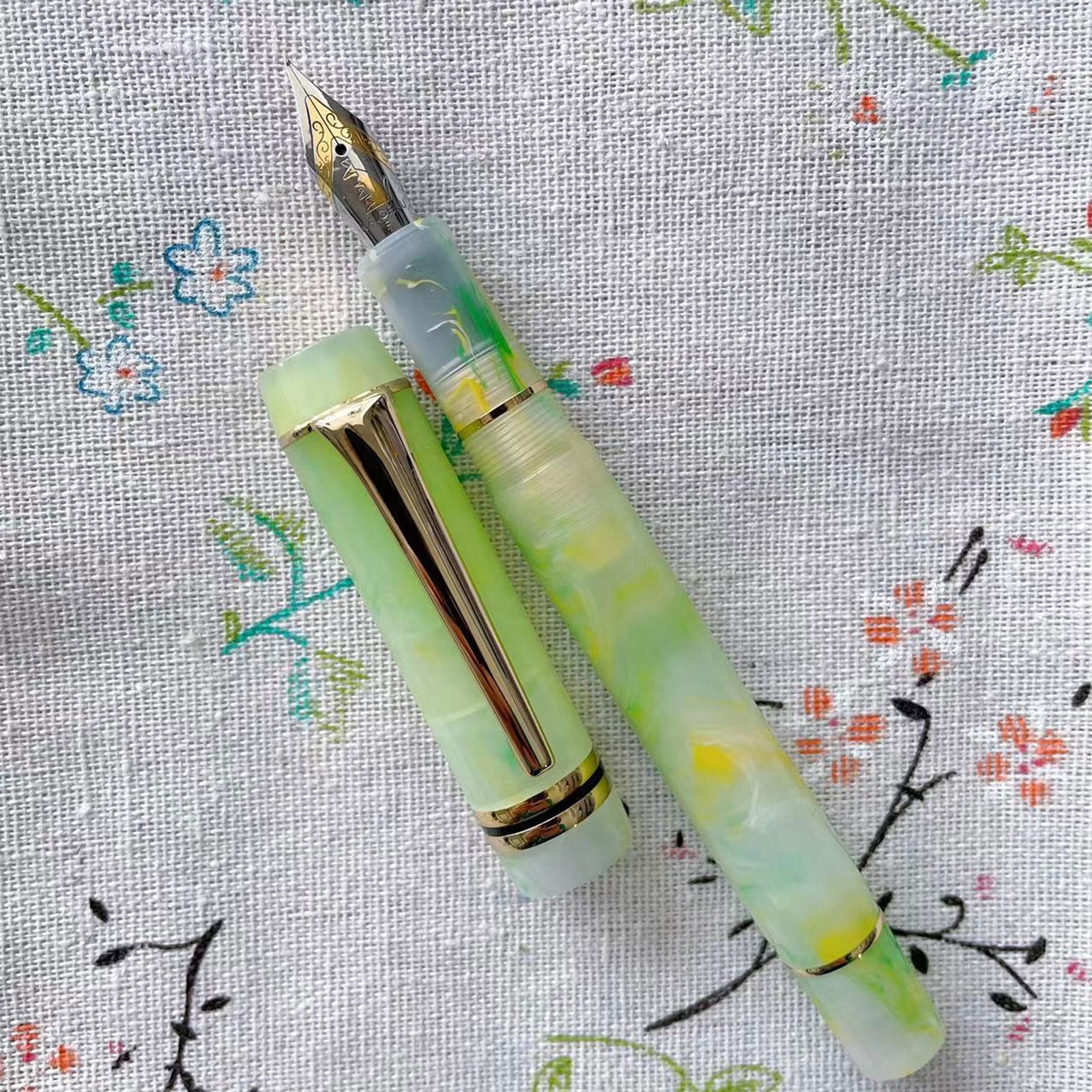 Elegant Fountain Pen Pen Consistent Writing for Men & Women,Professional, Executive, Office, Nice Pens