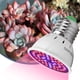 thumbnail image 3 of Lámpara LED para plantas E27, 48 cuentas, color rojo y azul, espectral, para crecimiento de plantas, 3 of 6