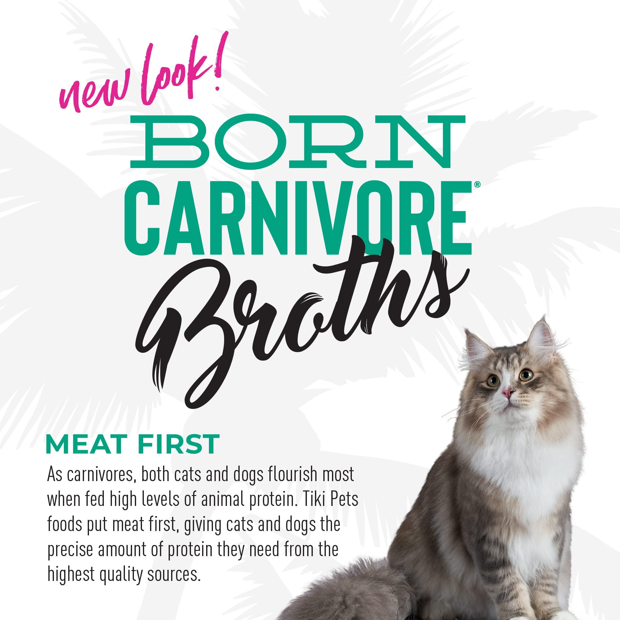 Tiki Cat Savory Broth, Grain Free Lickable Wet Food Treat Flavor Booster with Tuna, 12 Pack