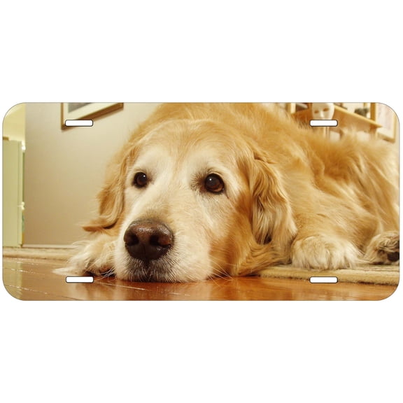 Howard Dog DRAG19 Novelty Car Auto License Plate