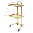 thumbnail image 2 of TFCFL 2 Tier Beauty Salon Spa Trolley Rolling Utility Cart Storage Cart Stainless Steel Hairdressing Tool Trolley, 2 of 18