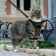 thumbnail image 6 of Cat Harness and Leash Set- Escape Proof Reflective Cat Vest Harness for Walking Training Travel Hiking Outdoor - Adjustable Soft Mesh Breathable Pet Harness Comfort fit Cats, 6 of 7