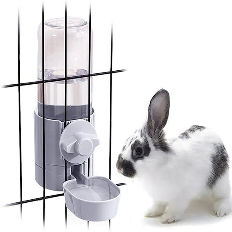 Child proof dog bowl online