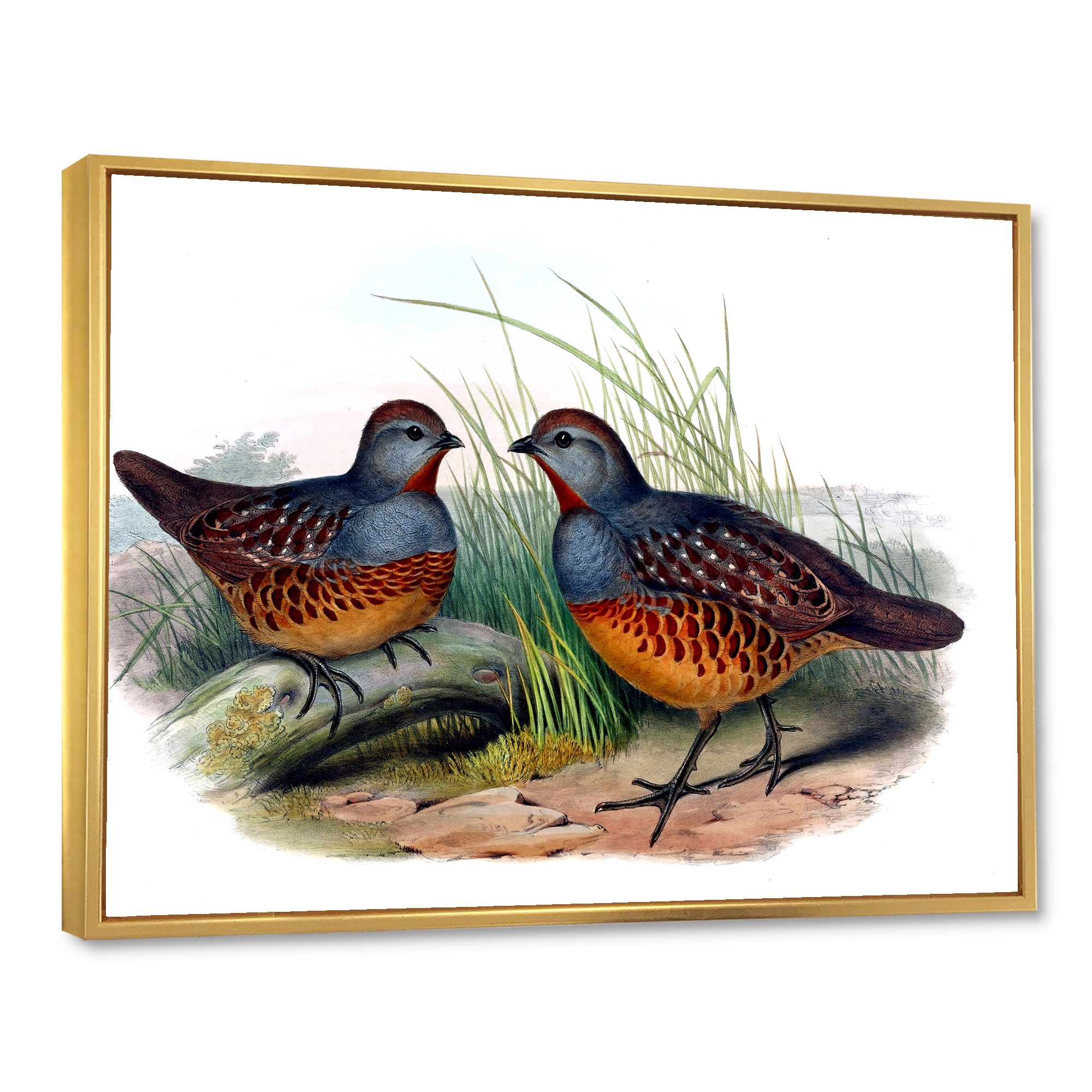 Designart 'Ancient Birds In The Wild VII' Traditional Framed Canvas Wall Art Print