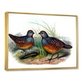 thumbnail image 3 of Designart 'Ancient Birds In The Wild VII' Traditional Framed Canvas Wall Art Print, 3 of 5