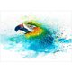 thumbnail image 1 of Taladro diamante pintura (DF3275) 5D DIY arte completo pájaro punto de cruz bordado (G-2697 45x60cm Hugtrwg Para estrenar, 1 of 1