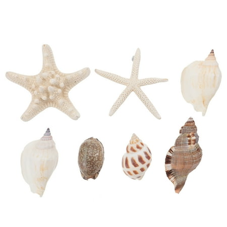 

7PCS Fridge Stickers Magnetic Decals Seashell Conch Shape Patches (Random Style)