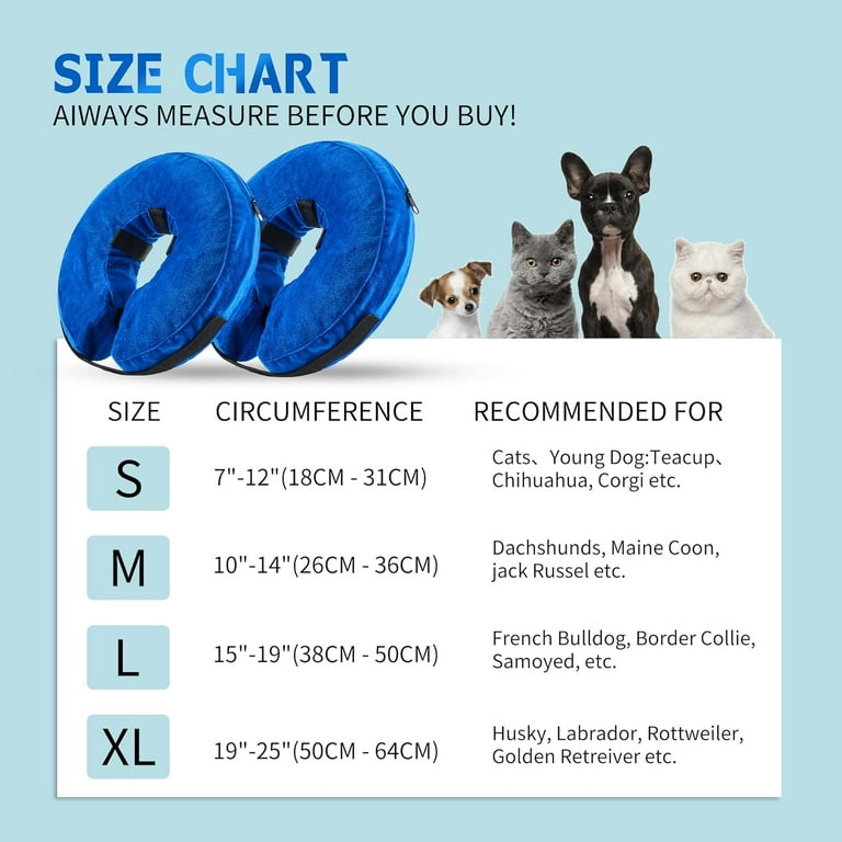 Cone Alternative Diy Dog Elizabethan Collar Of Shame Diy Cone