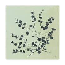 Trademark Fine Art 'Botanical Study VII Sage' Canvas Art by Julia Purinton