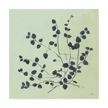 Trademark Fine Art 'Botanical Study VII Sage' Canvas Art by Julia Purinton