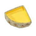 thumbnail image 3 of koolsoo Bol d'Eau Reptile Coin en Résine Plat pour Tortue Tortue L, 3 of 9