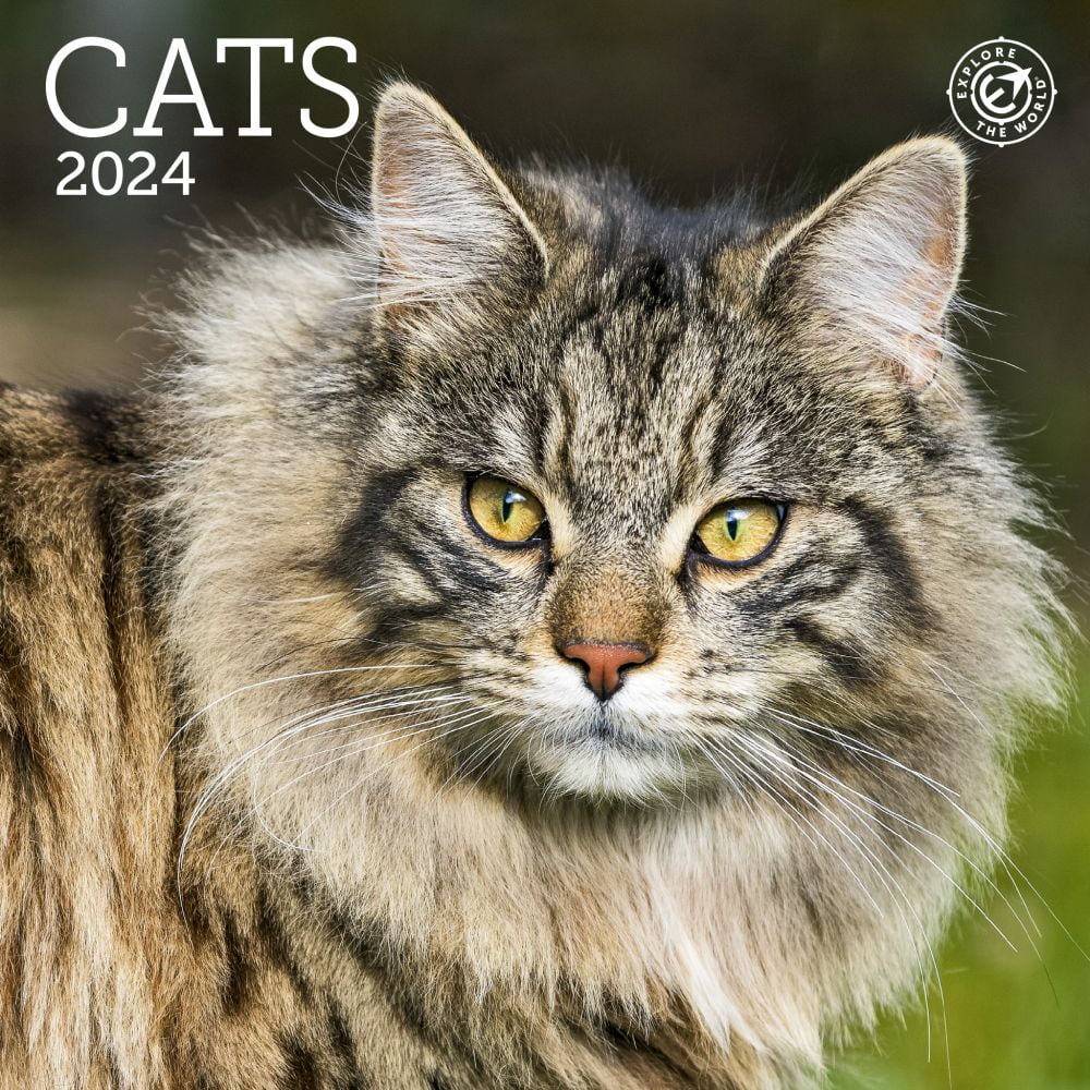 Ziga Media, Cats 2024 Mini Wall Calendar