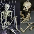 thumbnail image 1 of Poseable Full Life Size Human Skeleton Halloween Decoration Party Prop, 1 of 2