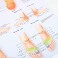 thumbnail image 3 of Foot Reflexology Chart Poster Massage Knowledge Poster Wall Art Home Office Decoration, 3 of 5