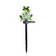 thumbnail image 2 of Decoración De Jardín Rana Led Luz Solar Rana De Metal Estatuilla Paisaje Estaca Luz Lámpara Impermeable Para Exteriores Para Jardines Céspedes Patios Monstrate HA012895-00, 2 of 7