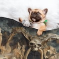 thumbnail image 3 of Disketp Ancient Skull Cave Landscape Dog Blanket/Bed Cover for Dogs and Cats,Puppy Essentials-Small, 3 of 8