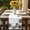 White Black, variant on White Dandelion Table Runner - 48 Inch Long, Kitchen Dining Table Runner Dresser Scarves, Spring Flowers Plants Vintage Gray Wood Farmhouse Decor for Coffee Tables Wedding Party Banquet