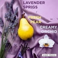thumbnail image 5 of Scent Theory Body Lotion with Shea Butter, All Skin Types, Silk Sheets, 18 fl oz, 5 of 14
