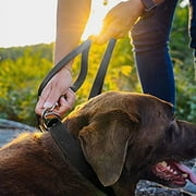 Mighty Paw Leather Dog Leash, 5 ft Leash Super Soft Distressed Leather, Modern Stylish Lead. For Small, Medium and Large Pets