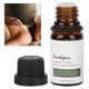 thumbnail image 5 of Aceite Esencial De Masaje Aceite De Masaje Aceite Esencial De Eucalipto Masaje Corporal Cuidado De La Piel Aceite Esencial De Aromaterapia 10ml ANGGREK Otros, 5 of 8