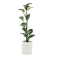 thumbnail image 1 of 1/ En s Modelo De Plantas Accesorios De Decoración De Jardín UNA Yotijar Plantas de miniaturas de casas de muñecas, 1 of 5