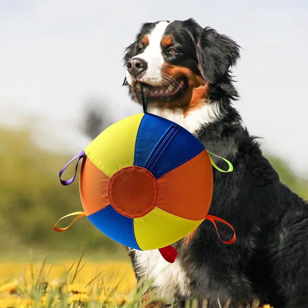 Dog Toy Ball with Straps, 9.84'' High-Bounce Fetch Ball for Small Medium Large Dogs, Interactive Pet Play Toy for Indoor Outdoor Training