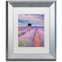Trademark Fine Art "Rows Of Lavender" Canvas Art by Michael Blanchette Photography White Matte, Silver Frame