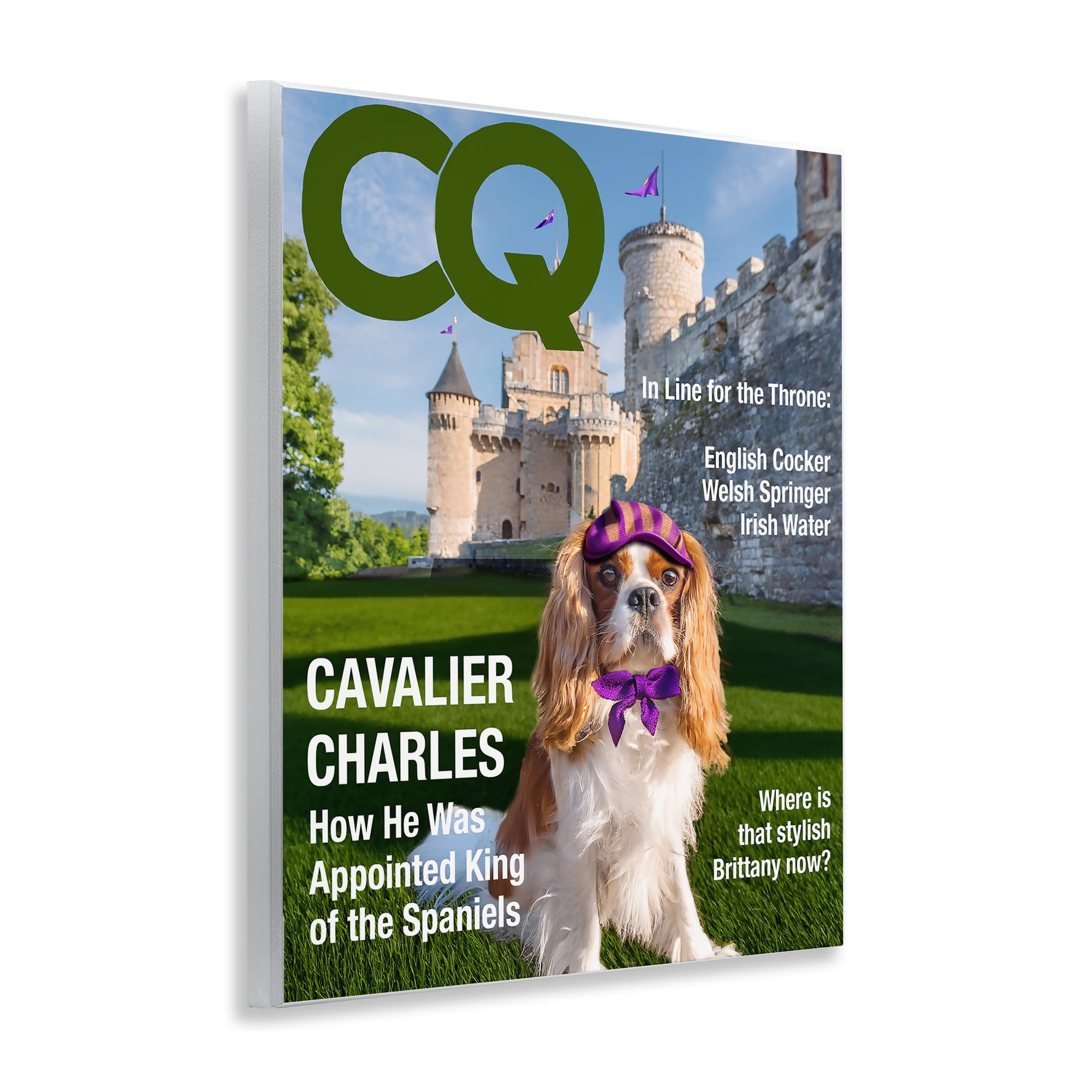 Stupell Industries Royal Cavalier Magazine Wall Plaque Art, design by Grotto Studios