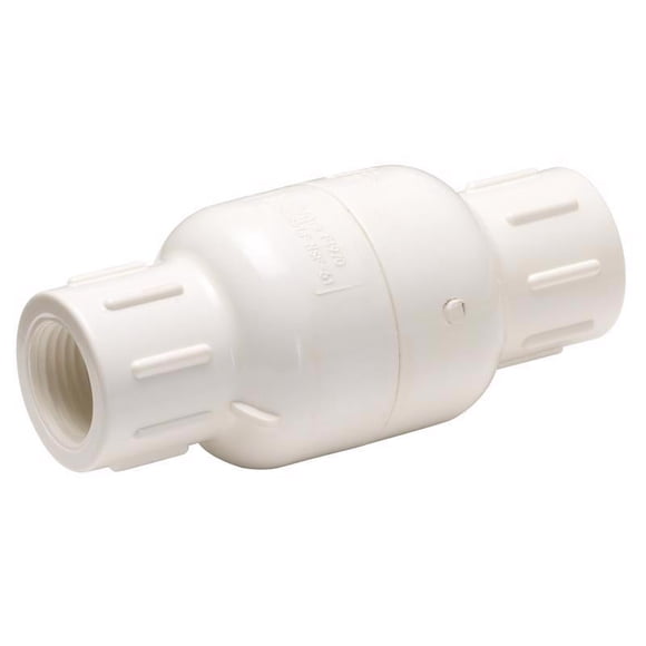 Válvula de retención Homewerks de PVC con resorte de 3/4 pulgadas FIP 3/4 pulgadas
