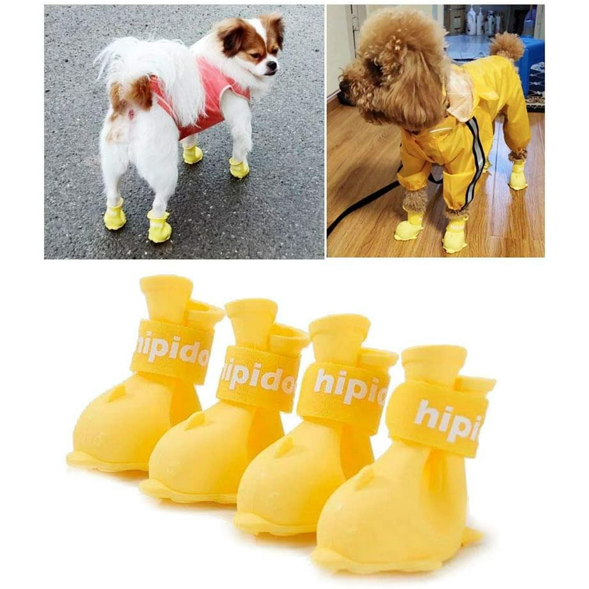 Do Dogs Need Shoes In Rain