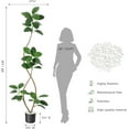 thumbnail image 3 of 7FT Artificial Plants Rubber Tree with Black Resin Pot& White Stone Faux Fiddle Leaf Fig Tree Indoor Artificial Trees Tall Plant Fake Tree Tropical Large Floor Tree Real Touch for Home Deco, 3 of 7
