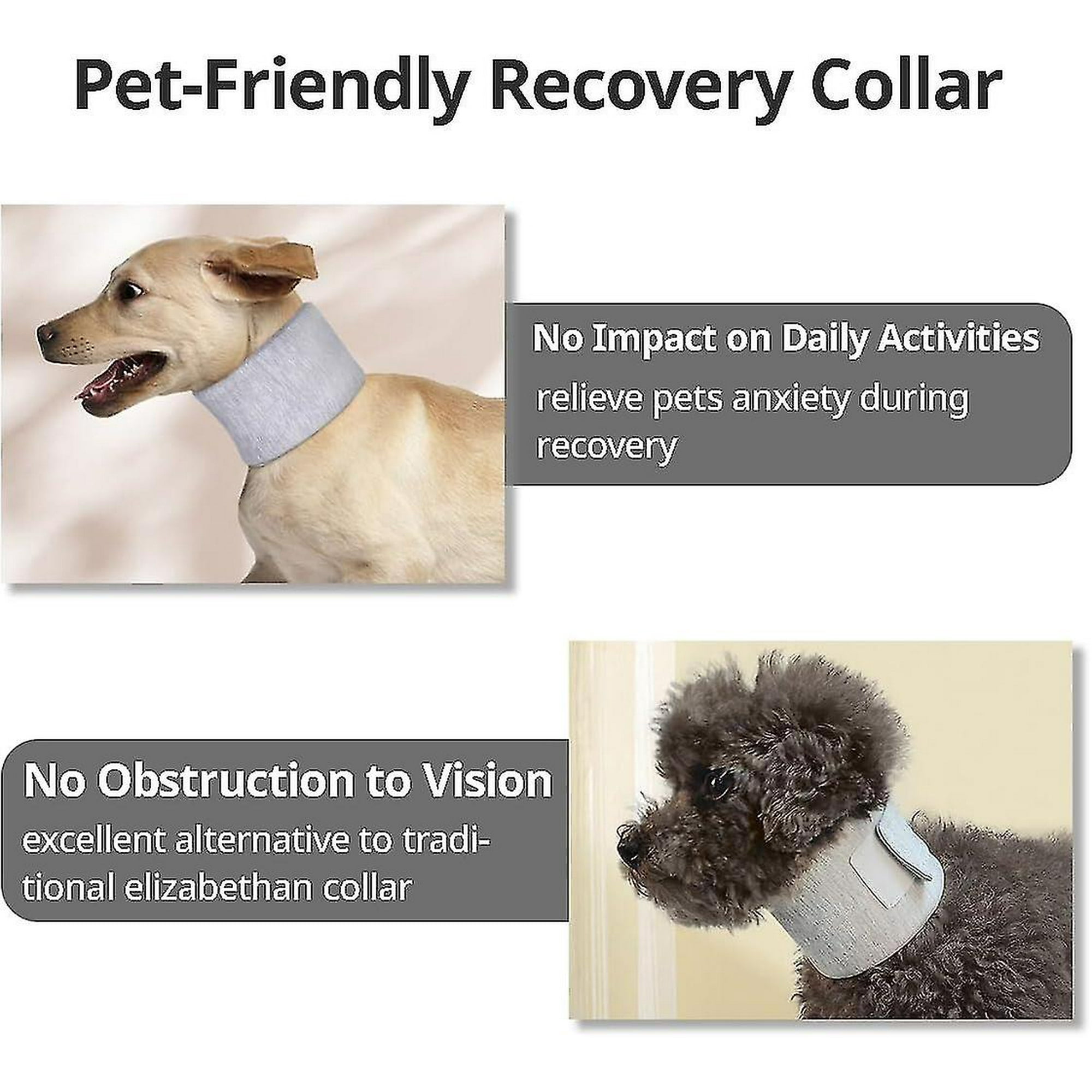 Dog neck brace cone deals