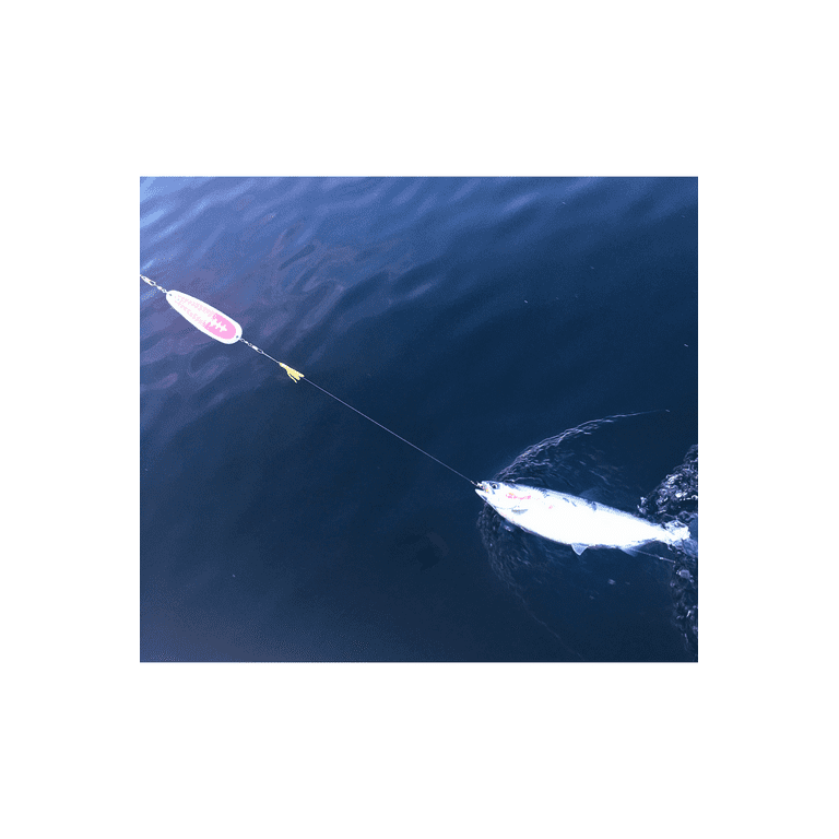KOKOPROS: Fishing Flasher Kokanee Salmon Hyperglow Teardrop Fishing  Flasher, 5-1/2 Length, Chrome, Pink Skeleton