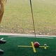 thumbnail image 4 of Golf Simulator Tees,19Pcs Practice Golf Tees for Turf and Driving Range Indoor Tee Golf Training Tee, 4 of 5