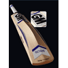 GM Octane F2 DXM 606 Size 5 cricket bat