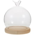 thumbnail image 1 of 1 Set Glass Display Dome Cloche With Wood Base Display Dome Case Globe For Preserved Flower Display Cloche Glass Dome Glass Display Case, 1 of 8