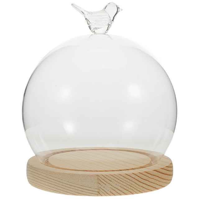 1 Set Glass Display Dome Cloche With Wood Base Display Dome Case Globe For Preserved Flower Display Cloche Glass Dome Glass Display Case