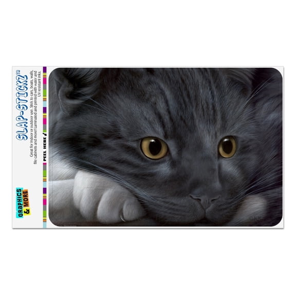 Black Cat Tired Sleepy Watching Home Business Office Sign