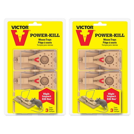 Victor 3-Pack Power-Kill Mouse Trap - 2 Pack (Best Thing To Put On A Mousetrap)