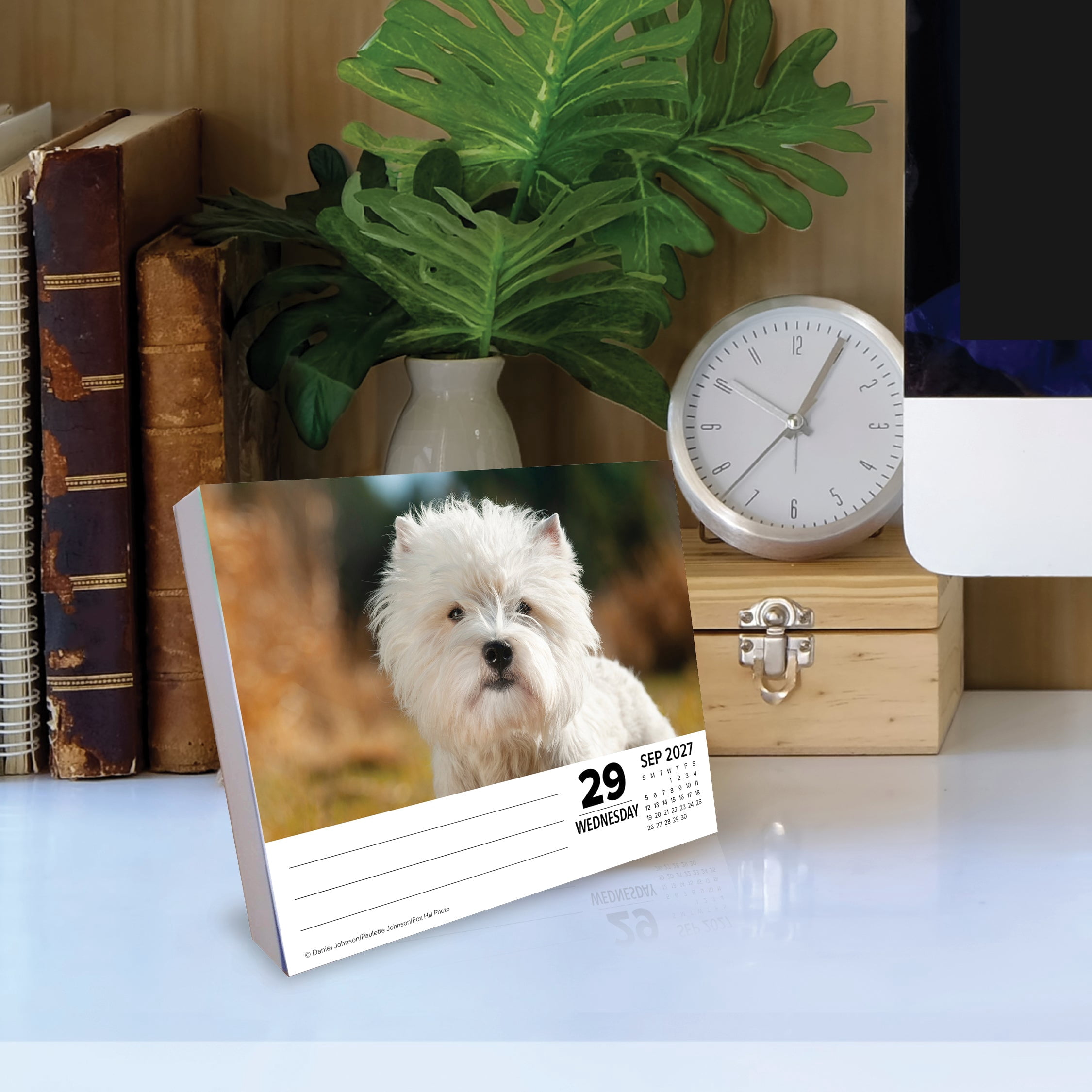 Willow Creek Press, Westies 2027 Box Calendar