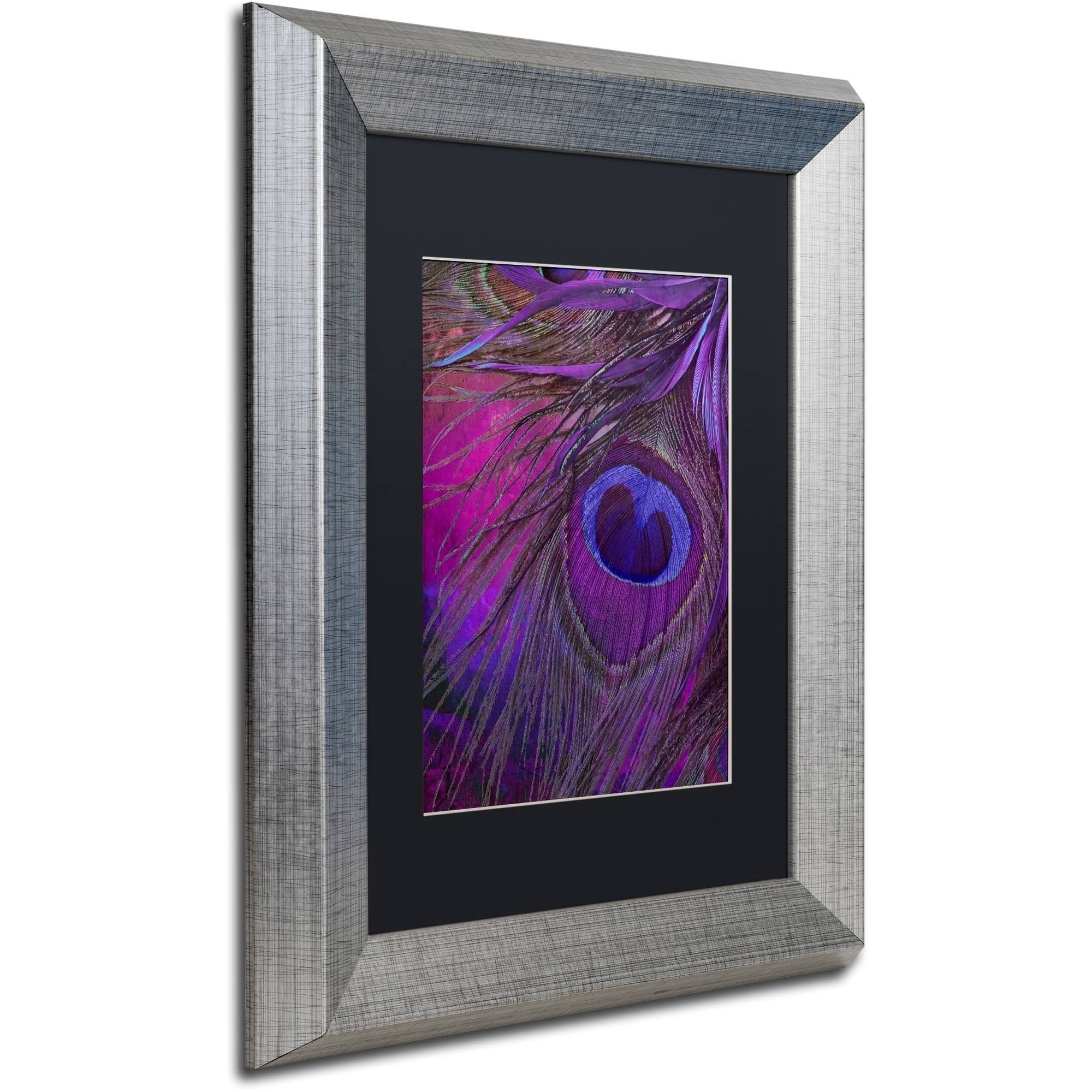 Trademark Fine Art "Peacock Candy IV" Canvas Art by Color Bakery Black Matte, Silver Frame