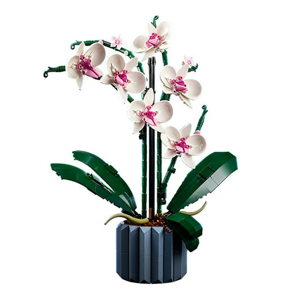 608 piezas de bloques de construcción de Phalaenopsis para niñas, ejercicios exquisitos, habilidades prácticas, juegos de construcción de ramos de flores