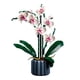 thumbnail image 1 of 608 piezas de bloques de construcción de Phalaenopsis para niñas, ejercicios exquisitos, habilidades prácticas, juegos de construcción de ramos de flores, 1 of 12